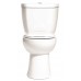 Niagara Conservation Toilet Elongated  High Efficiency  Round Ada 17 " H Chrome 17 " H 0.8 Gpf - B00DXH6G5A